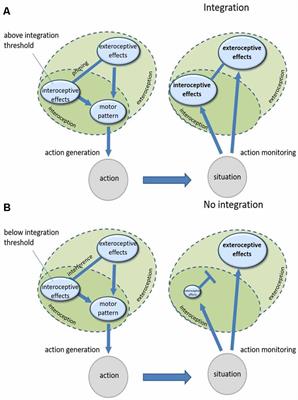 How Action Shapes Body Ownership Momentarily and Throughout the Lifespan